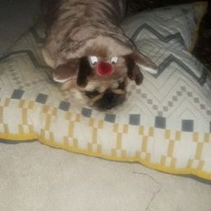 Meet your Posher, Kristi